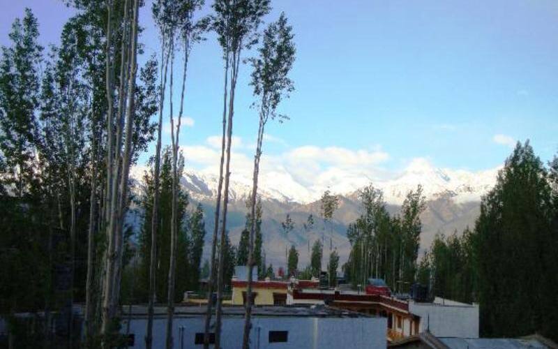 Hotel Alpine Villa, Leh 2